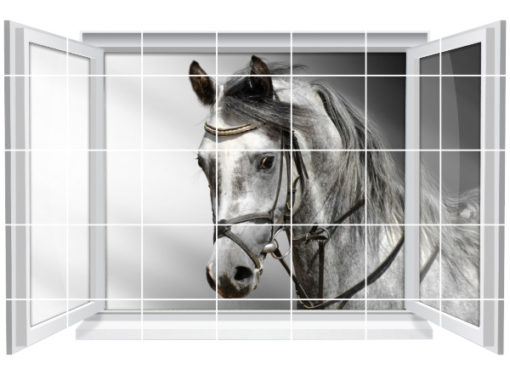 Fliesenaufkleber Fliesenbild Fenster Pferd Hengst Reiten Bad WC Fliesen