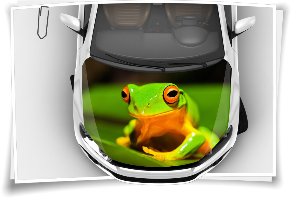 Motorhauben Aufkleber Frosch Sticker Digitaldruck, 8,99 €