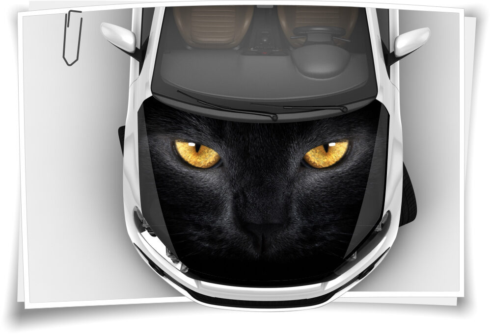 Katze Katzen-Augen Motorhaube Auto-Aufkleber Steinschlag-Schutz-Folie  Airbrush Tuning – Medianlux-Shop