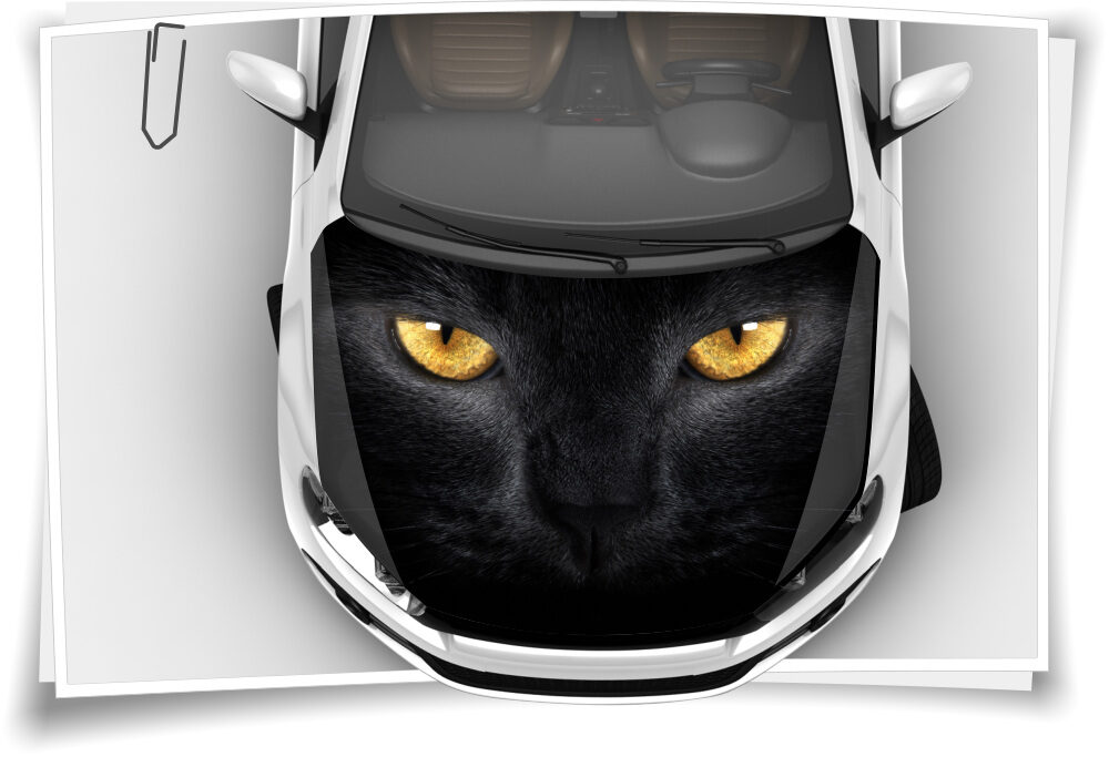 https://www.medianlux-shop.de/wp-content/uploads/2018/02/katze-katzen-augen-motorhaube-auto-aufkleber-steinschlag-schutz-folie-airbrush-tuning-2-1000x683.jpg