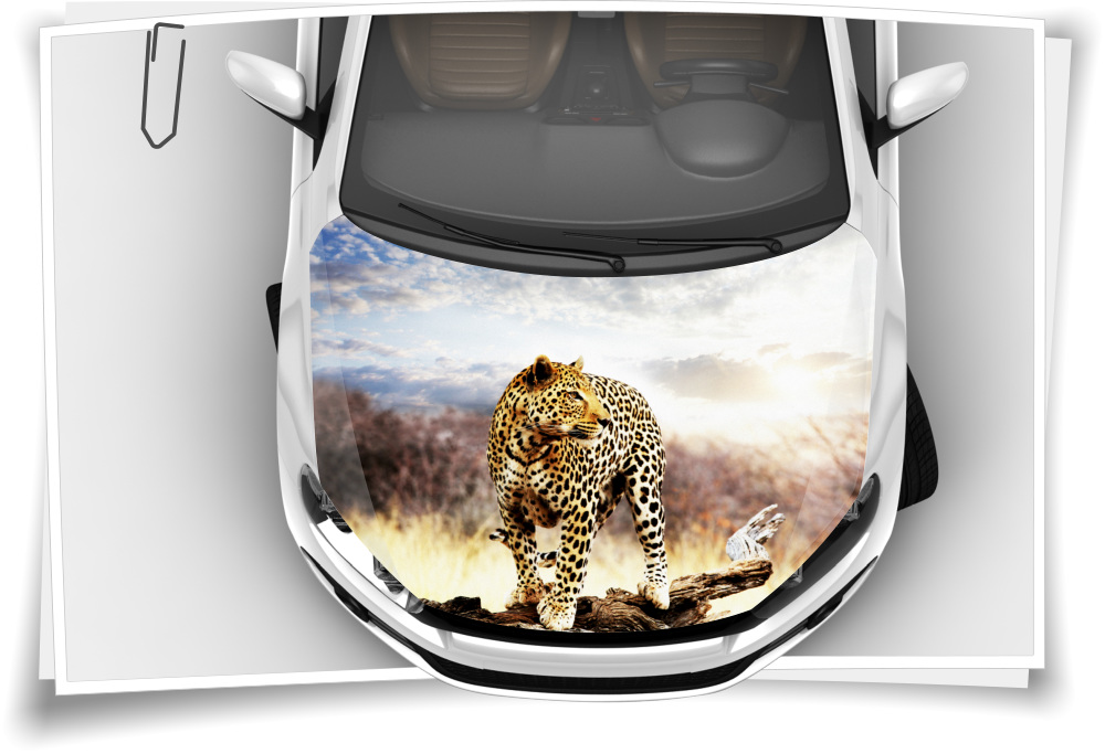 Leopard Wildnis Motorhaube Auto-Aufkleber Steinschlag-Schutz-Folie Airbrush Car