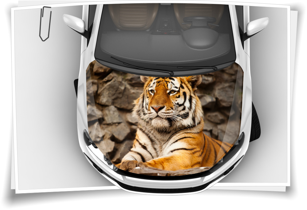 Tiger Leopard 3D Auto-Folie - Luftkanäle, blasenfrei