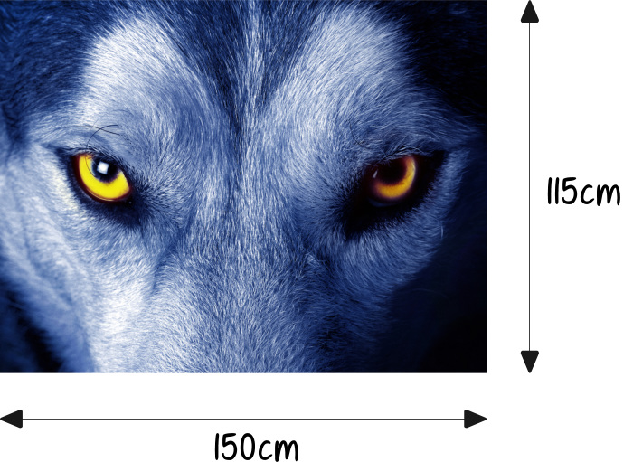 Auto-Aufkleber Seitenstreifen Wolf Wölfe Augen Wald Airbrush Folie