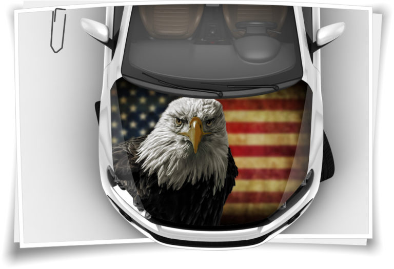 American Eagle Adler USA Flagge Motorhaube Auto-Aufkleber Steinschlag