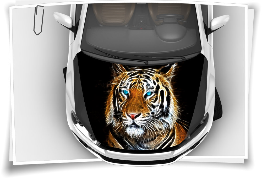 Tiger Abstract Animal Motorhaube Auto-Aufkleber Steinschlag-Schutzfolie  Airbrush