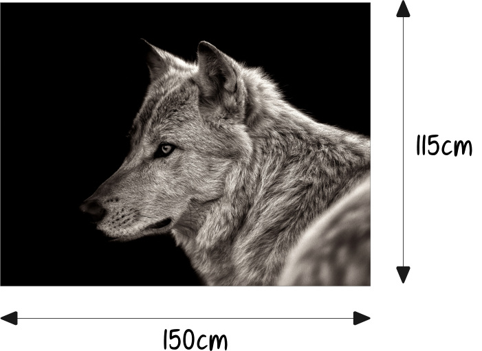 Auto-Aufkleber Seitenstreifen Wolf Wölfe Augen Wald Airbrush Folie