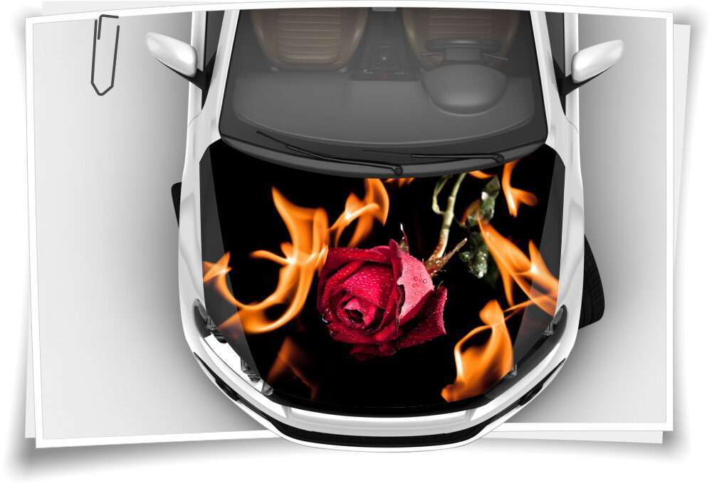 Feuer Wasser Rose Schwarz Motorhaube Auto-Aufkleber  Steinschlag-Schutz-Folie Airbrush Tuning – Medianlux-Shop