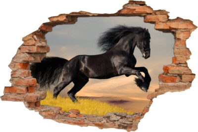 3D Wanddurchbruch Wandbild Wandtattoo Aufkleber Pferd Mustang Hengst Wiese 