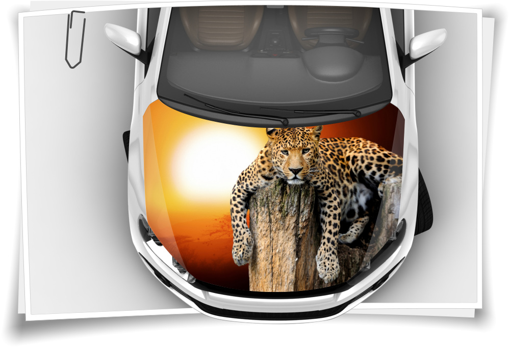 Leopard Sonne Holz Schwarz Motorhaube Auto-Aufkleber  Steinschlag-Schutz-Folie Airbrush Tuning – Medianlux-Shop