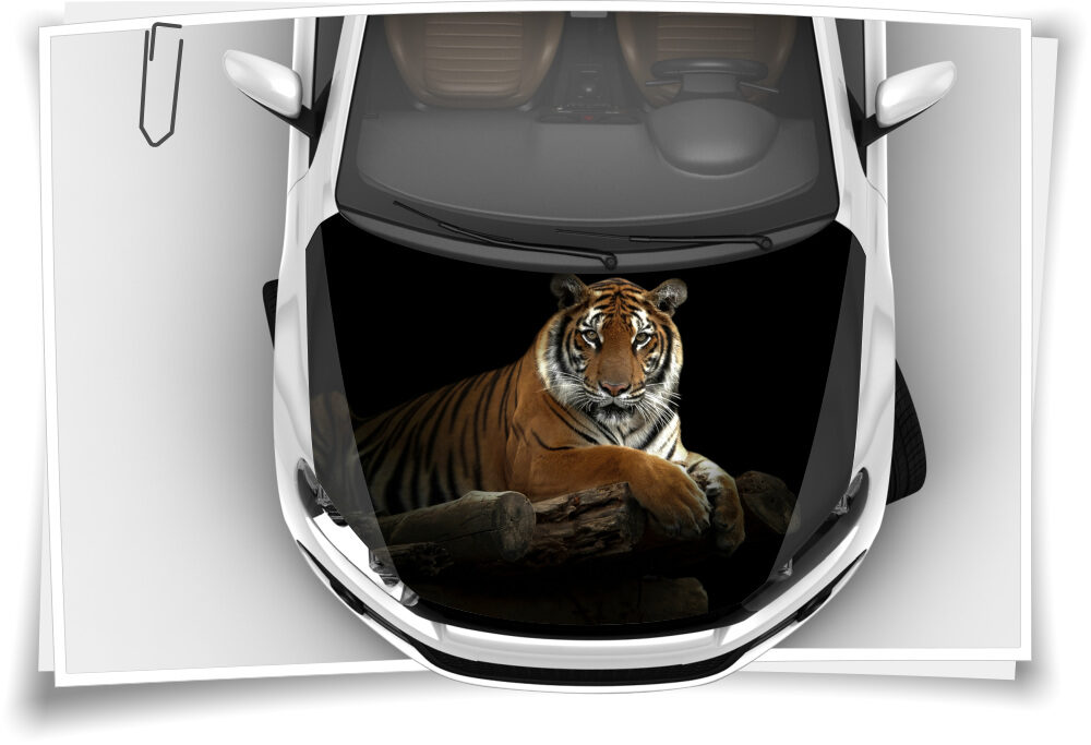 Tiger Schwarz Weiß Motorhaube Auto-Aufkleber Steinschlag-Schutz