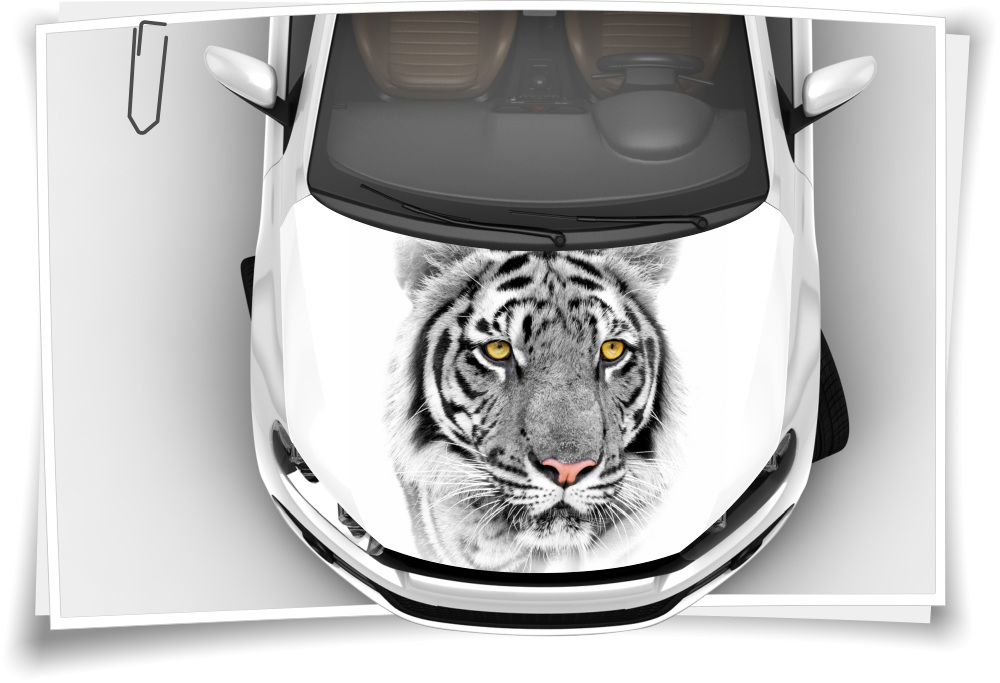 Tiger Schwarz Weiß Motorhaube Auto-Aufkleber Steinschlag-Schutz-Folie  Airbrush Tuning – Medianlux-Shop