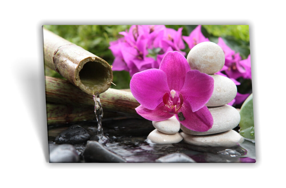 Bambusrohr Poster Weiß SPA – Pink Steine Leinwand-Bild Wellness Medianlux-Shop Wasser Schwarz Orchidee Keilrahmen-Bild Grün