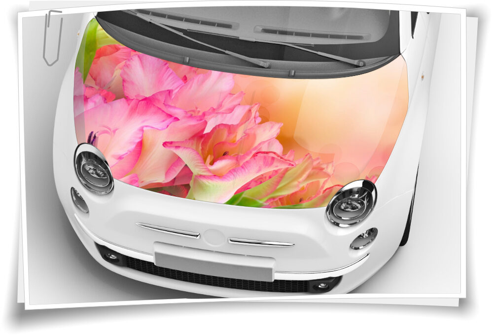 Blumen Blüten Motorhaube Auto-Aufkleber Steinschlag-Schutz-Folie