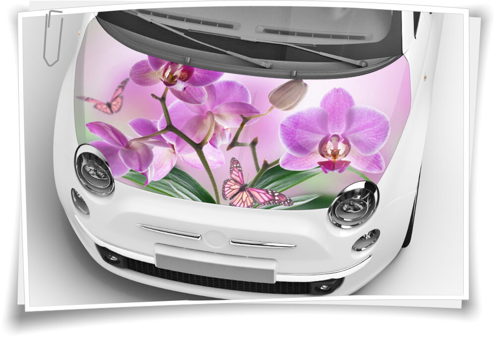 Orchidee Schmetterling Motorhaube Auto-Aufkleber Steinschlag