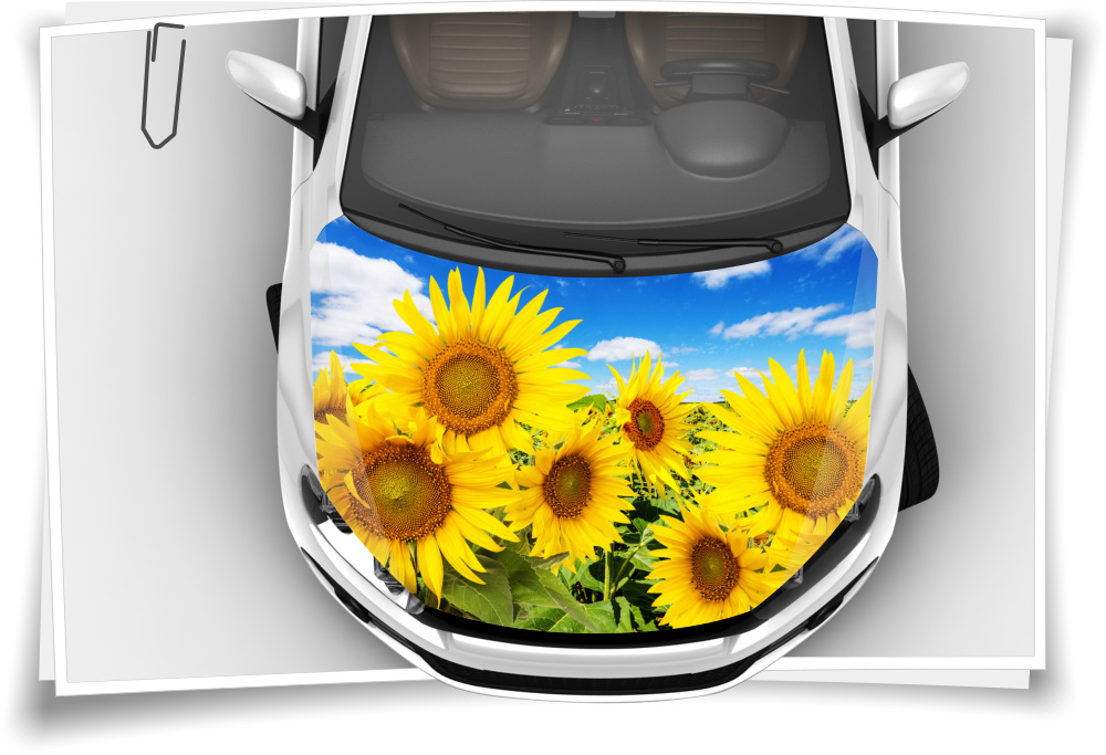 Aufkleber Auto Sonnenblumenauto - TenStickers