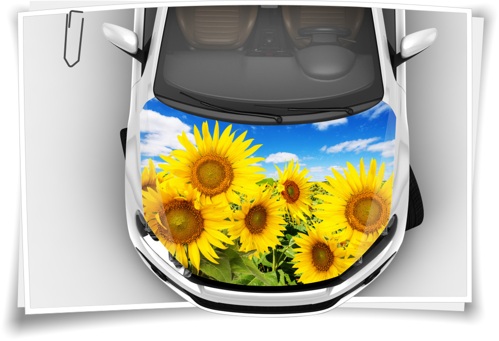 https://www.medianlux-shop.de/wp-content/uploads/2019/09/sonnen-blume-blumen-gelb-motorhaube-auto-aufkleber-steinschlag-schutz-folie-airbrush-tuning-2.jpg