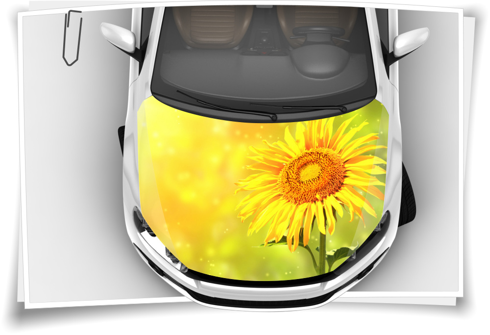 Sonnen-Blume Blumen Gelb Motorhaube Auto-Aufkleber Steinschlag-Schutz-Folie  Airbrush Tuning – Medianlux-Shop