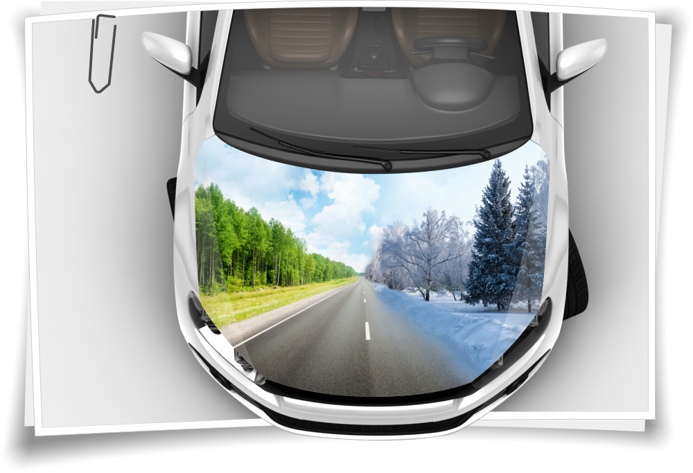 Strasse Winter Sommer Motorhaube Auto-Aufkleber Steinschlag-Schutz-Folie  Airbrush Tuning – Medianlux-Shop