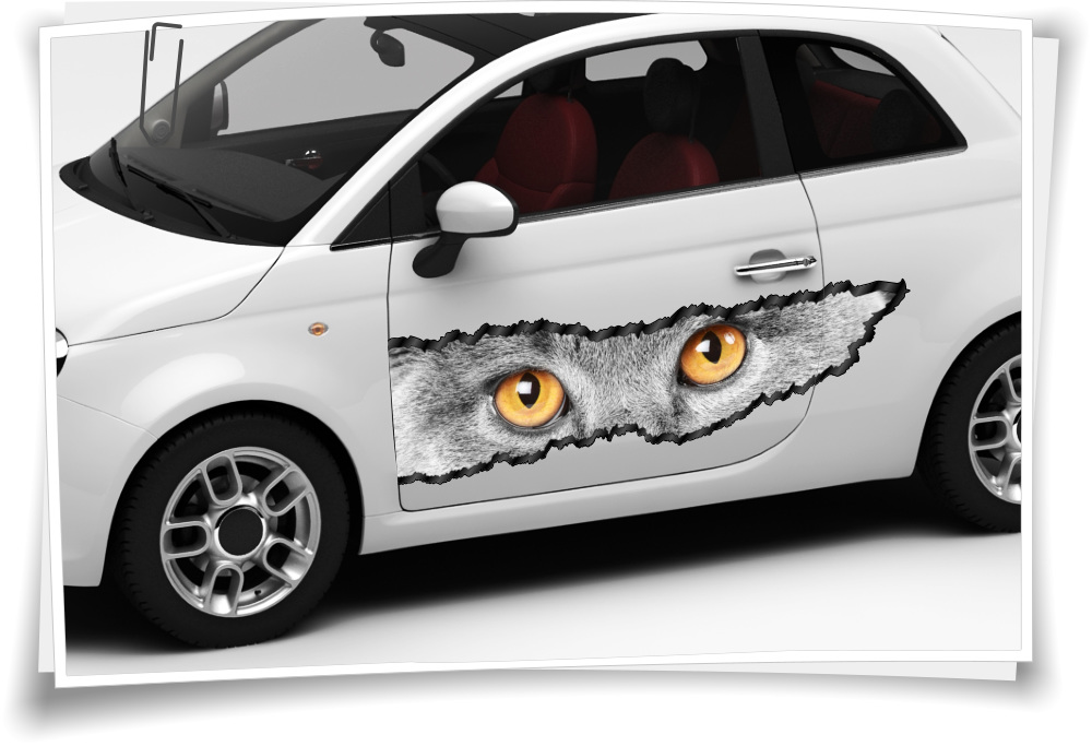 https://www.medianlux-shop.de/wp-content/uploads/2019/10/auto-aufkleber-seitenstreifen-katzen-augen-katze-grau-gelb-airbrush-folie-tuning-3.jpg