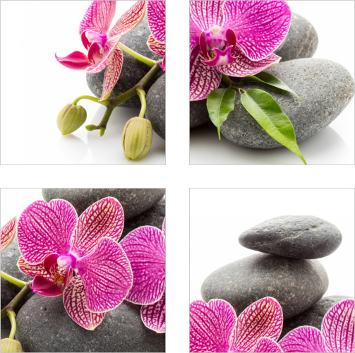 Fliesen-Aufkleber SPA Wellness Orchideen Blüten Steine Blätter Pink Grau Bad WC 