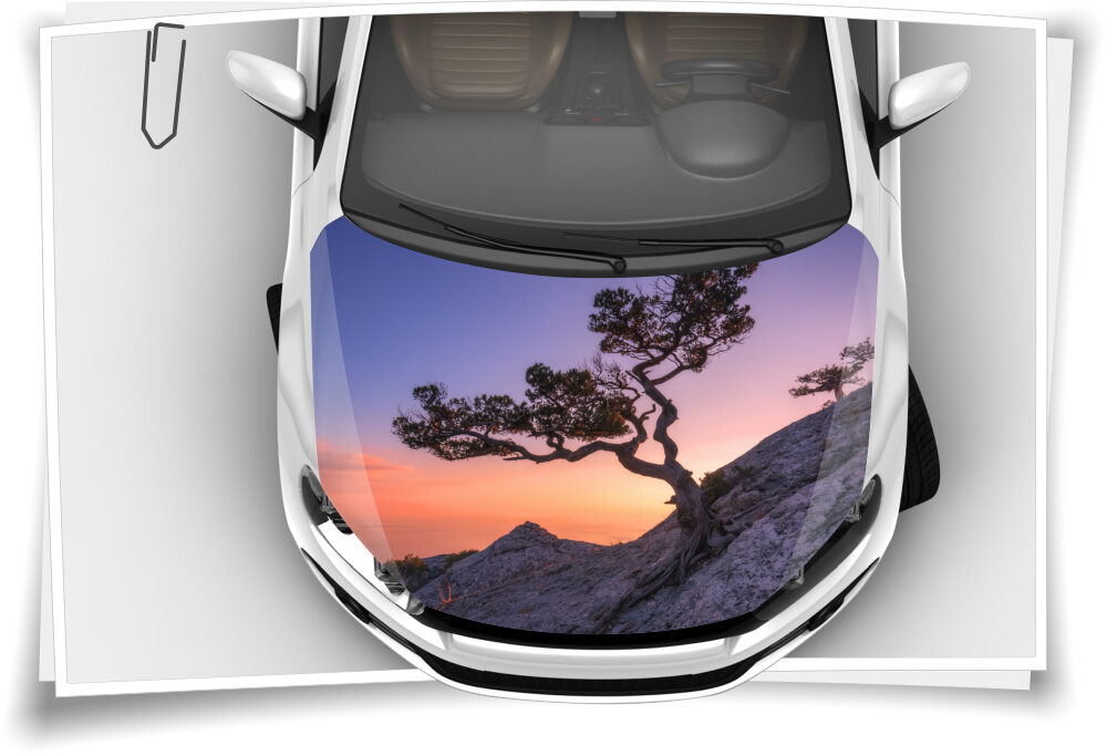 Motorhaube Auto-Aufkleber Baum Sonnenuntergang Felsen Wildnis Steinschlag- Schutz-Folie Airbrush Tuning – Medianlux-Shop