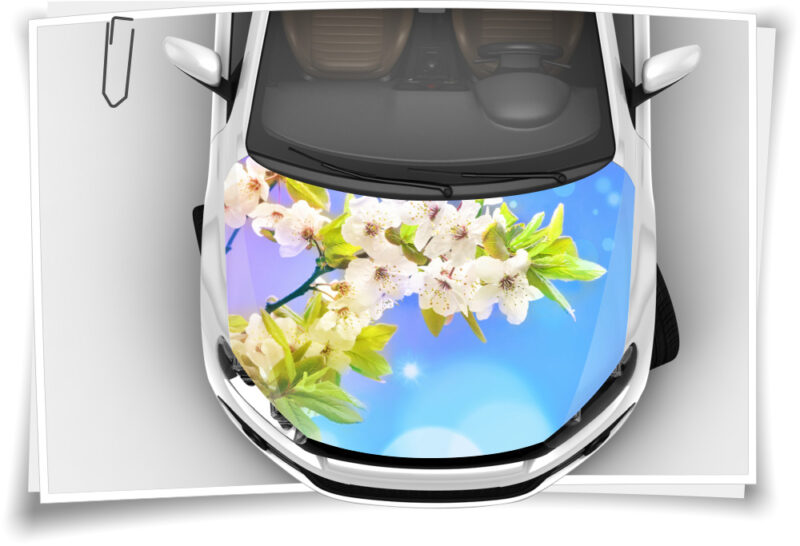 Retro Magnolien Fensterfolie - Buntglas Optik Für Auto Und Wohnung