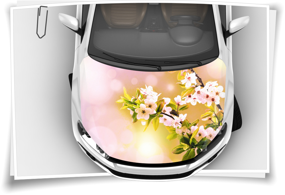 Motorhaube Auto-Aufkleber Magnolien Blumen Blüten Rosa Steinschlag