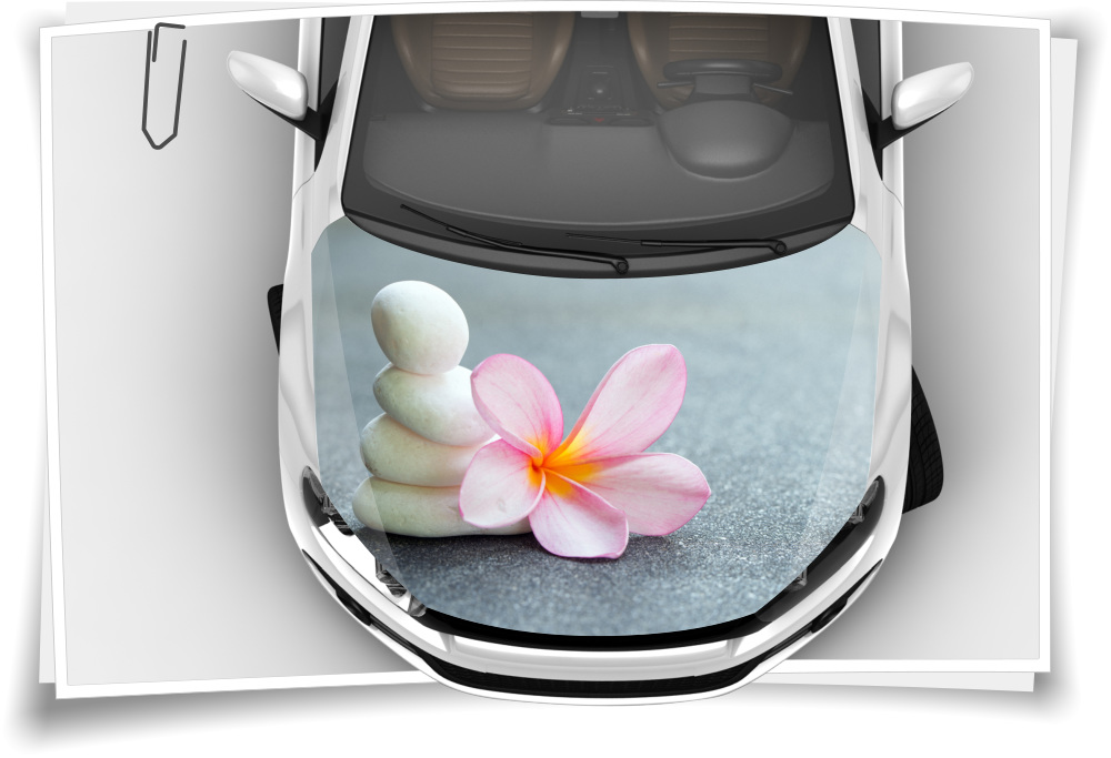 https://www.medianlux-shop.de/wp-content/uploads/2020/03/motorhaube-auto-aufkleber-plumeria-steine-rosa-grau-blumen-steinschlag-schutz-folie-airbrush-tuning-2.jpg