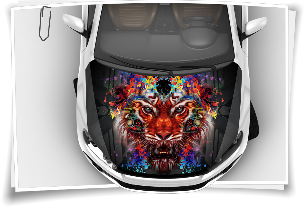 Strasse Winter Sommer Motorhaube Auto-Aufkleber Steinschlag-Schutz-Folie  Airbrush Tuning – Medianlux-Shop