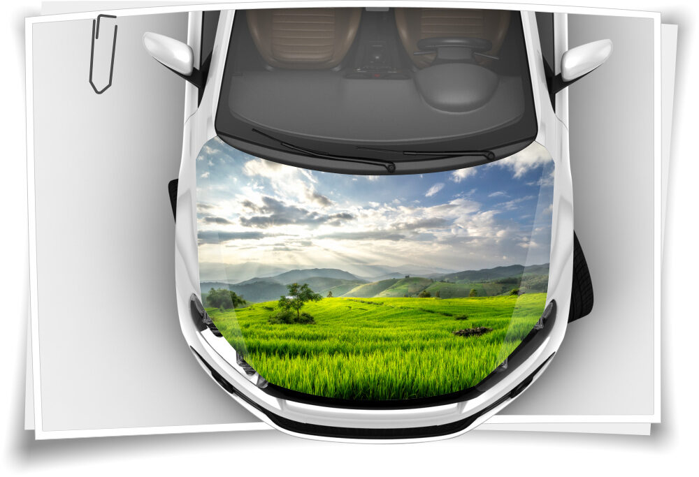 https://www.medianlux-shop.de/wp-content/uploads/2020/06/motorhaube-auto-aufkleber-landschaft-sonne-natur-huegel-wiese-wolken-steinschlag-schutz-folie-airbrush-tuning-1000x683.jpg