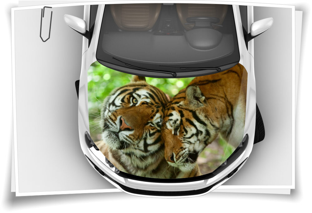 Motorhaube Auto-Aufkleber Tiger Wildnis Zoo Panthera Tiere Liebe