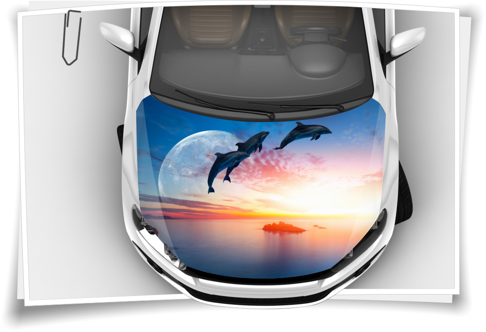 Motorhaube Auto-Aufkleber Meer Strand Sand Wolken Wasser Wellen Blau  Steinschlag-Schutz-Folie Airbrush Tuning – Auto-Aufkleber