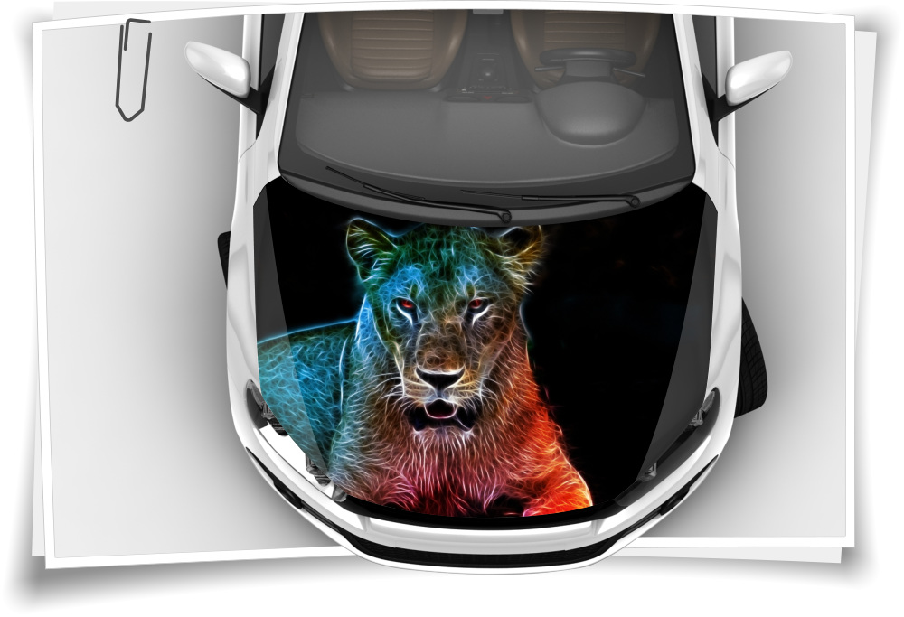 Motorhaube Auto-Aufkleber Löwe Löwin Fantasie Lion Wildnis Tiere  Steinschlag-Schutz-Folie Airbrush Tuning – Medianlux-Shop