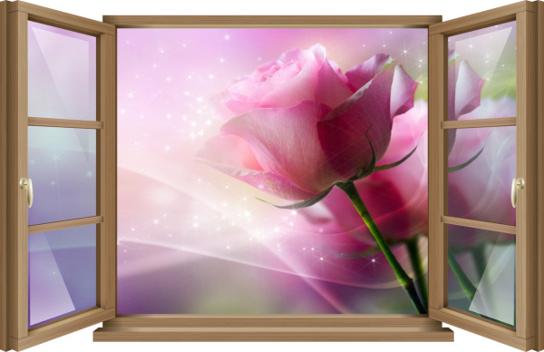 Wand-Tattoo Wand-Bild Fenster Blumen Rosen Rosa Rose Pink Lila